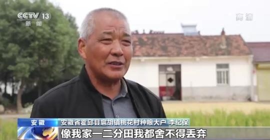 十八連豐！秋收近九成 我國糧食產(chǎn)能穩(wěn)步提升