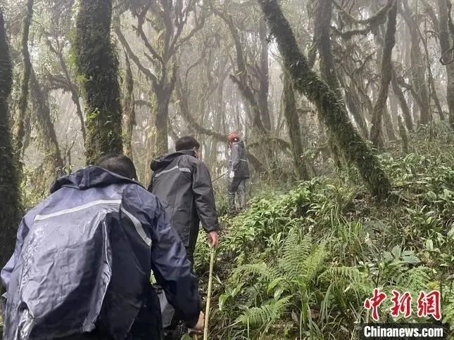 圖為救援現(xiàn)場。鎮(zhèn)沅縣委宣傳部提供