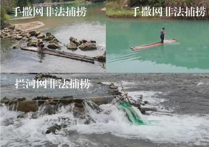 2021年9—10月，前期暗查發(fā)現(xiàn)，保護(hù)區(qū)核心區(qū)內(nèi)非法捕撈行為十分猖獗