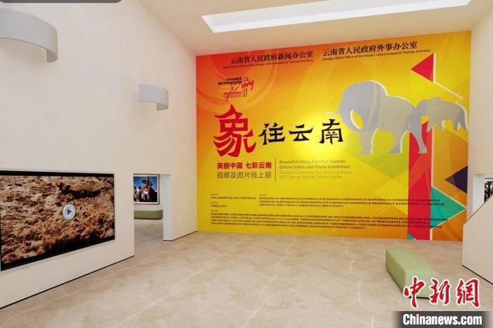圖為“象”往云南——美麗中國(guó) 七彩云南視頻及圖片線上展截圖?！『h(yuǎn)航 攝