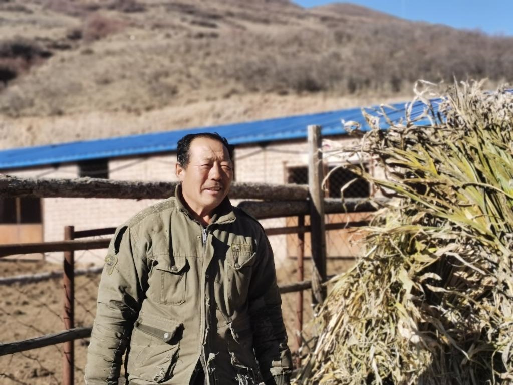 1月19日，山西省岢嵐縣脫貧戶呂如堂在牛圈前準(zhǔn)備草料。新華社記者 梁曉飛 攝