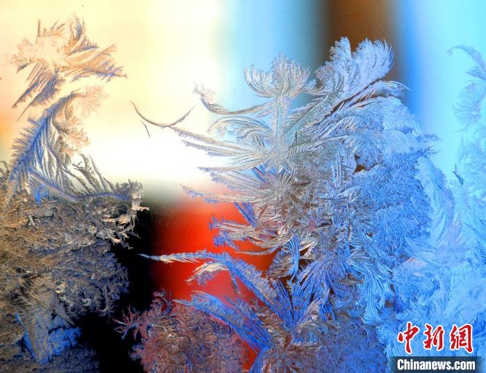 冰窗花千姿百態(tài)?！O書程 攝