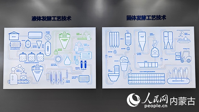 科拓生物工藝技術展示。人民網記者 張雪冬攝
