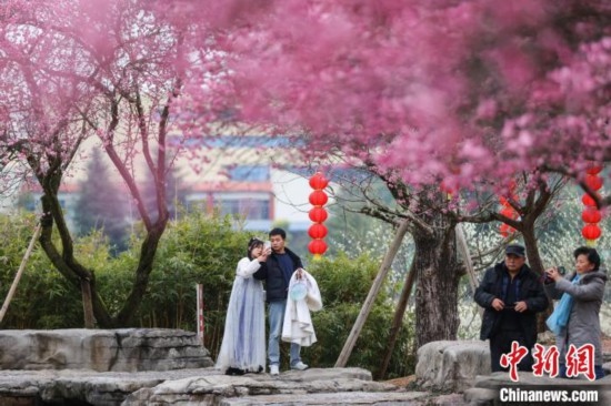 2月23日，市民在乾藝梅園景區(qū)觀賞綻放的梅花。瞿宏倫 攝