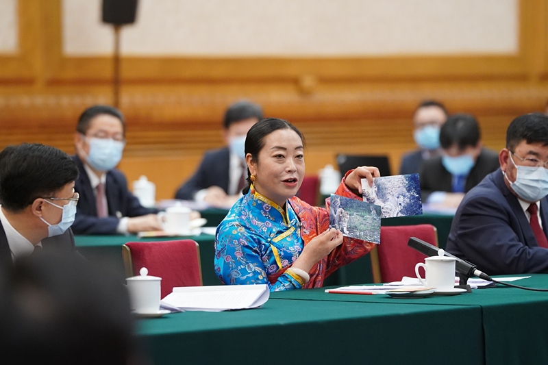 2021年3月7日，習(xí)近平總書記在參加十三屆全國人大四次會議青海代表團審議時，全國人大代表孔慶菊在會上展示了兩張照片，上面分別是祁連山地區(qū)多年不見蹤跡的雪豹和荒漠貓。