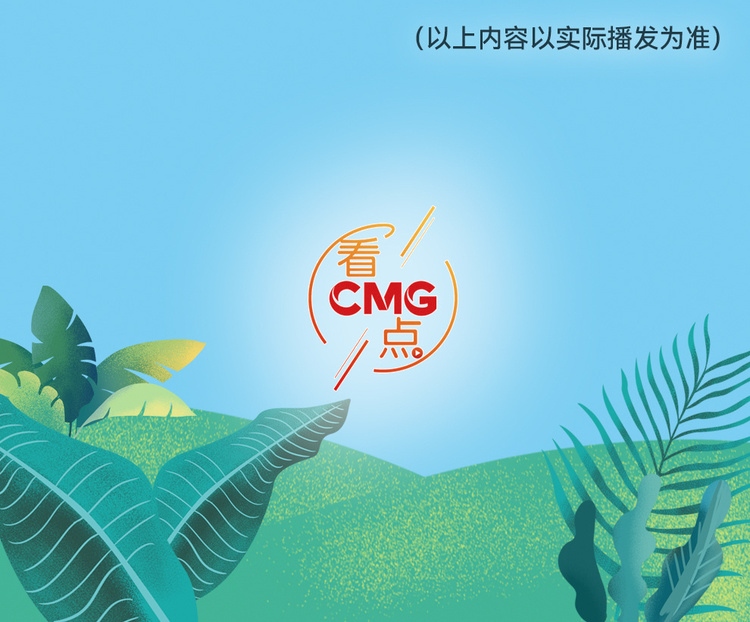 總臺(tái)周看點(diǎn)，來了！