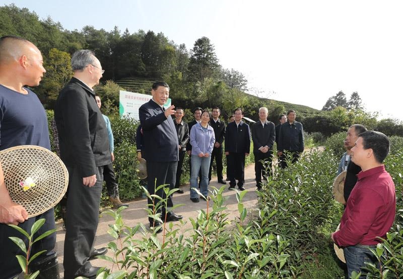 2021年3月22日，習(xí)近平總書(shū)記在福建南平武夷山市星村鎮(zhèn)燕子窠生態(tài)茶園，同科技特派員、茶農(nóng)親切交流，了解當(dāng)?shù)夭璁a(chǎn)業(yè)發(fā)展情況。