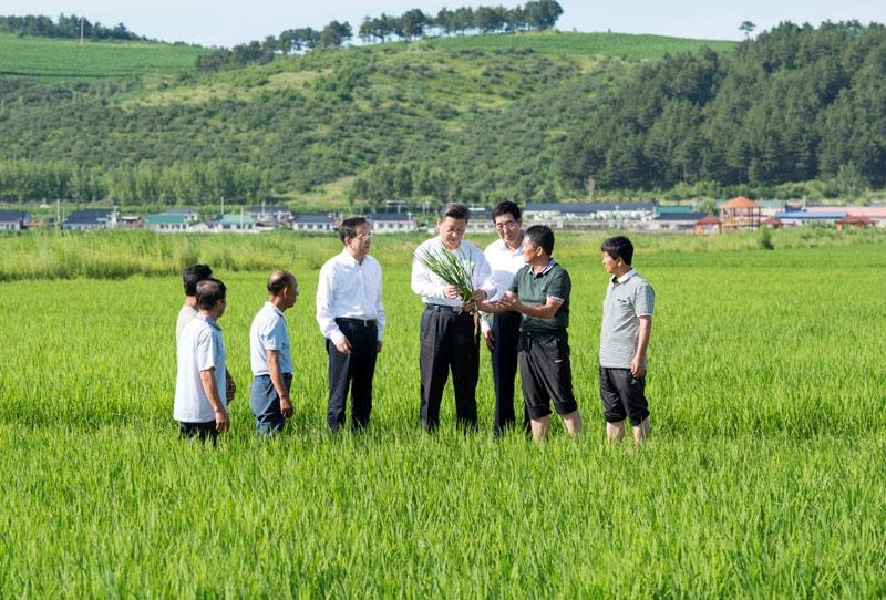 2015年7月16日，習(xí)近平總書(shū)記在吉林延邊州光東村稻田同村民和農(nóng)技人員交流。