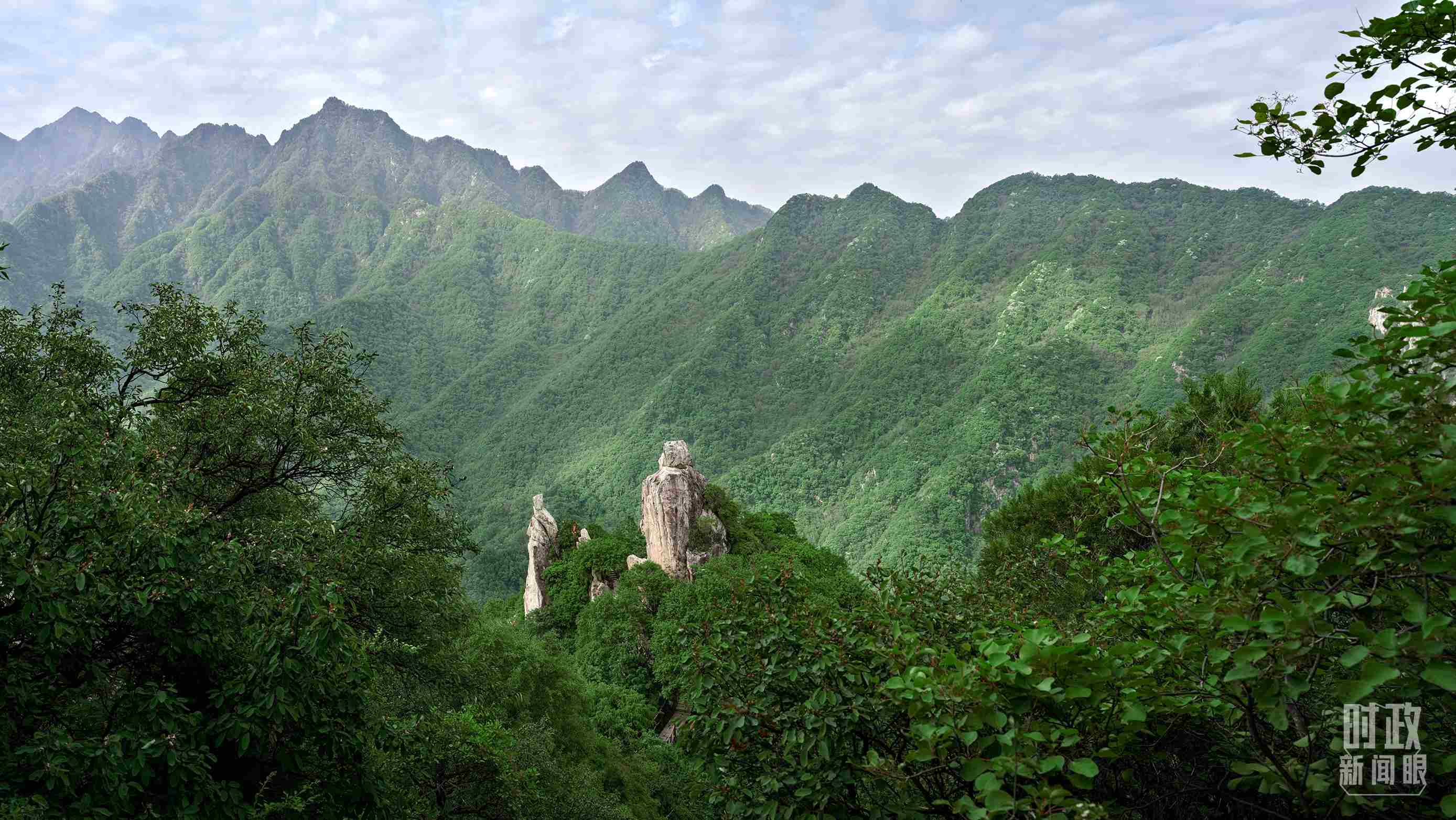 △秦嶺。（圖／視覺中國）