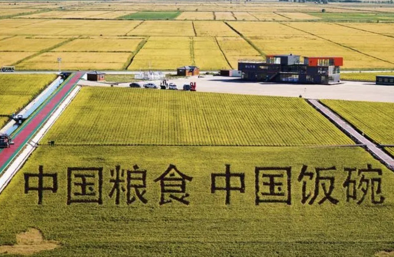 2022年9月2日，黑龍江省富錦市萬(wàn)畝水稻科技示范園內(nèi)的稻田畫(huà)。
