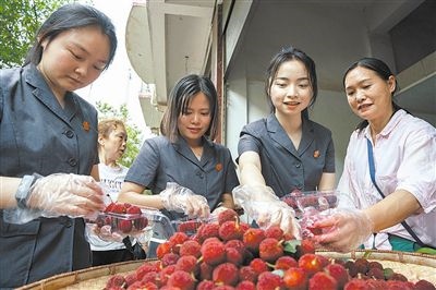 志愿者和村民一起將摘下的楊梅裝進(jìn)食品盒里。