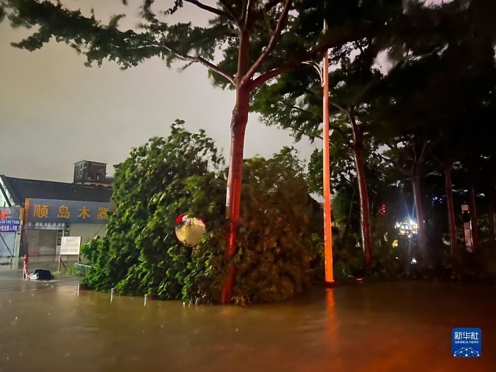 7月17日晚，在廣東湛江海濱大道北，路邊的樹木被風(fēng)刮倒（手機(jī)照片）。新華社記者 鄧華 攝