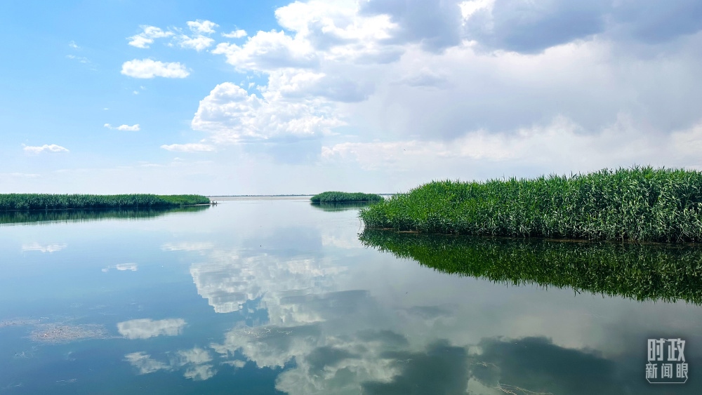 內(nèi)蒙古烏梁素海，是黃河流域最大的湖泊濕地。（總臺(tái)央視記者范一鳴拍攝）