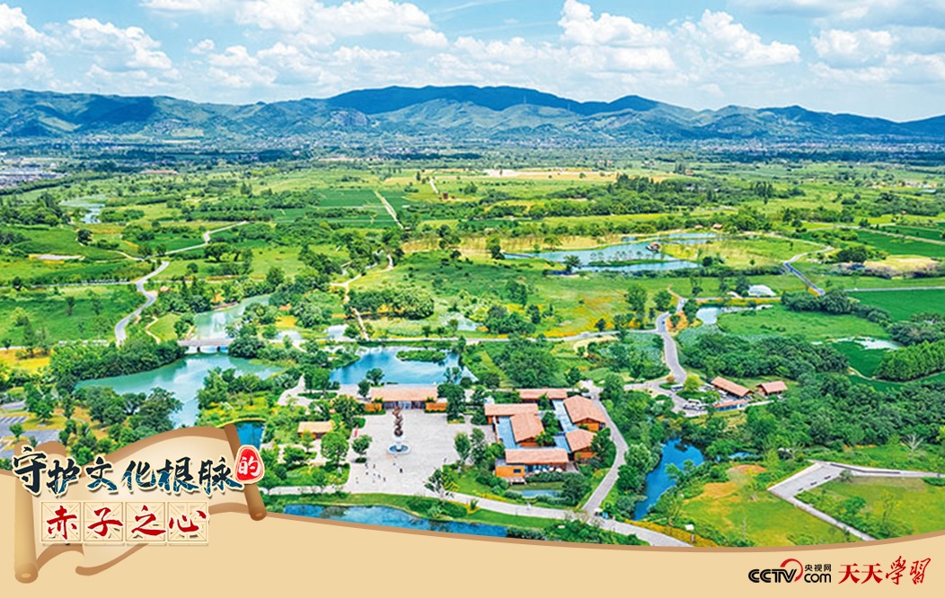 圖為2021年7月拍攝的良渚古城遺址公園。