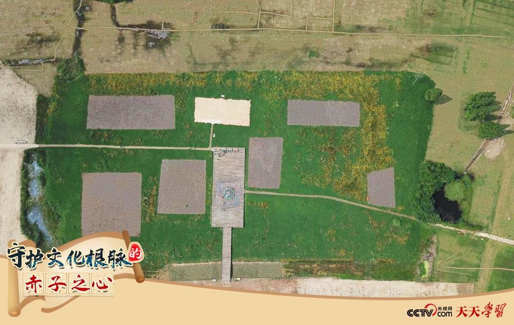 2019年6月23日無人機(jī)拍攝的良渚國家考古遺址公園的宮殿區(qū)。