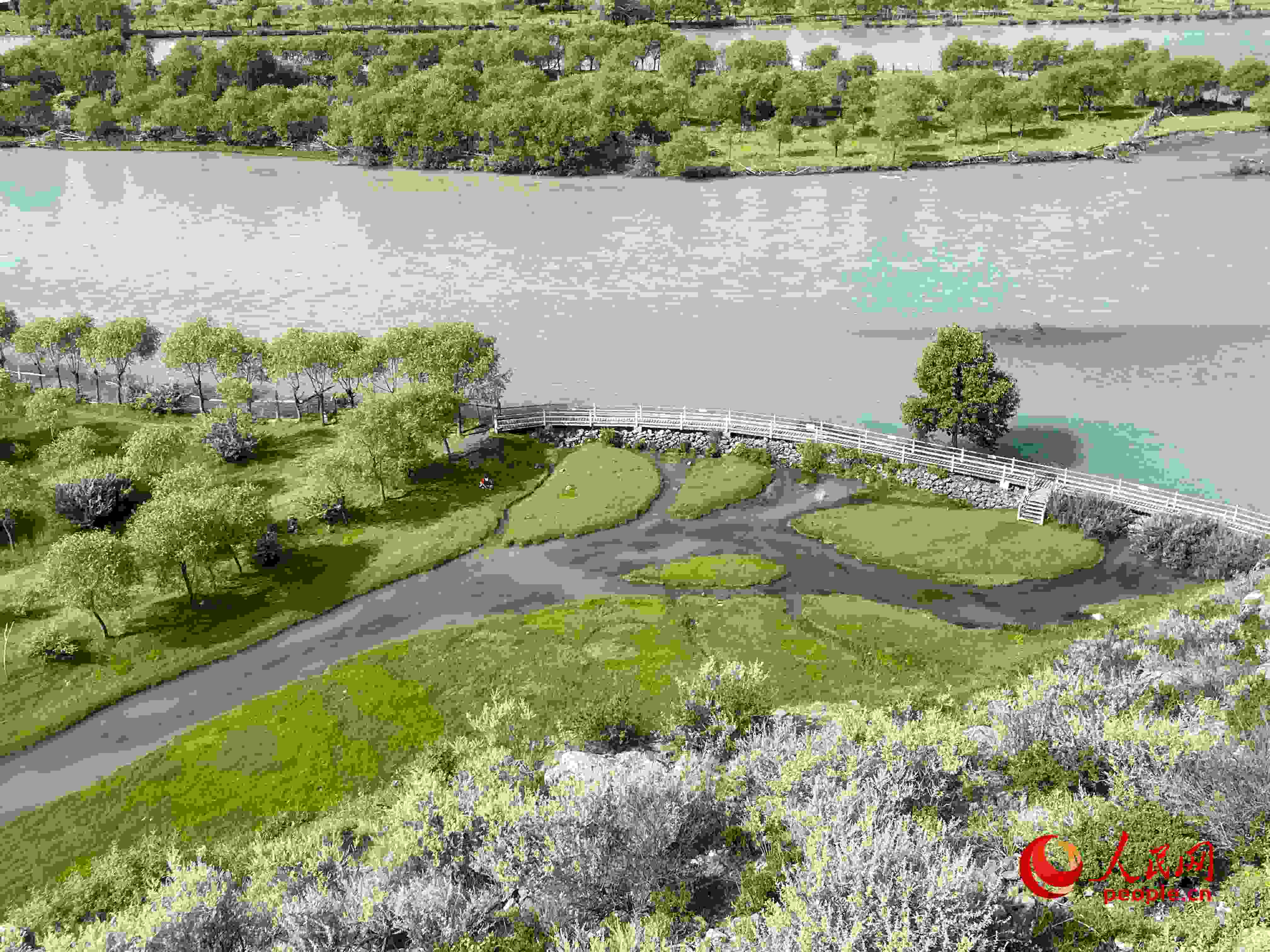 夏日的雅尼國家濕地公園生機盎然，如詩如畫。人民網(wǎng) 周靜圓攝