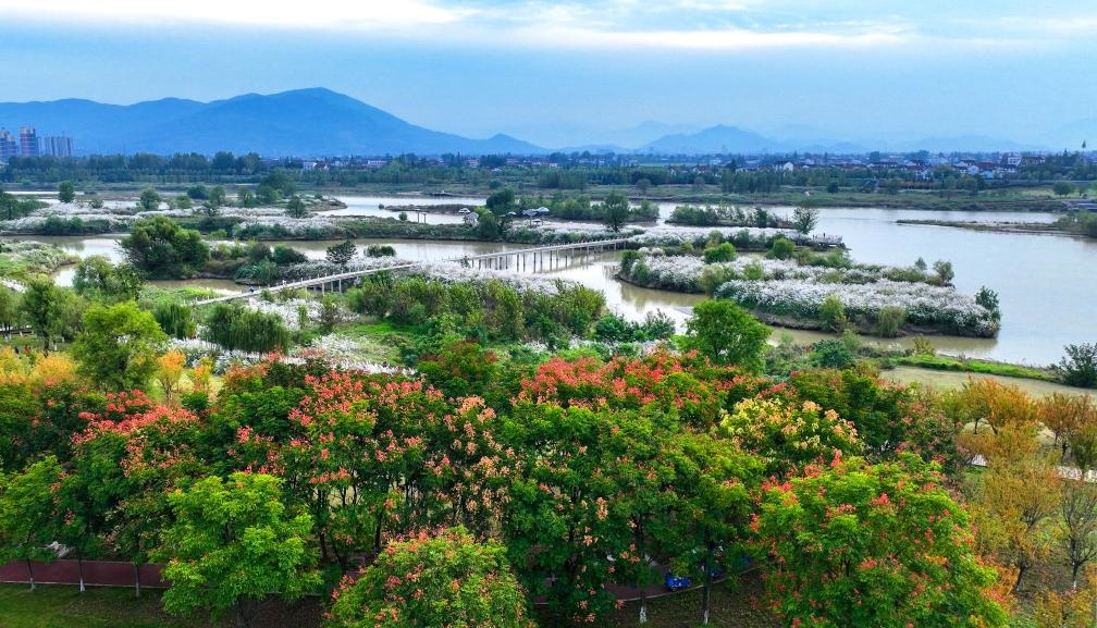 2022年10月11日拍攝的天漢濕地公園景色。新華社發(fā)（宋曉麗 攝）