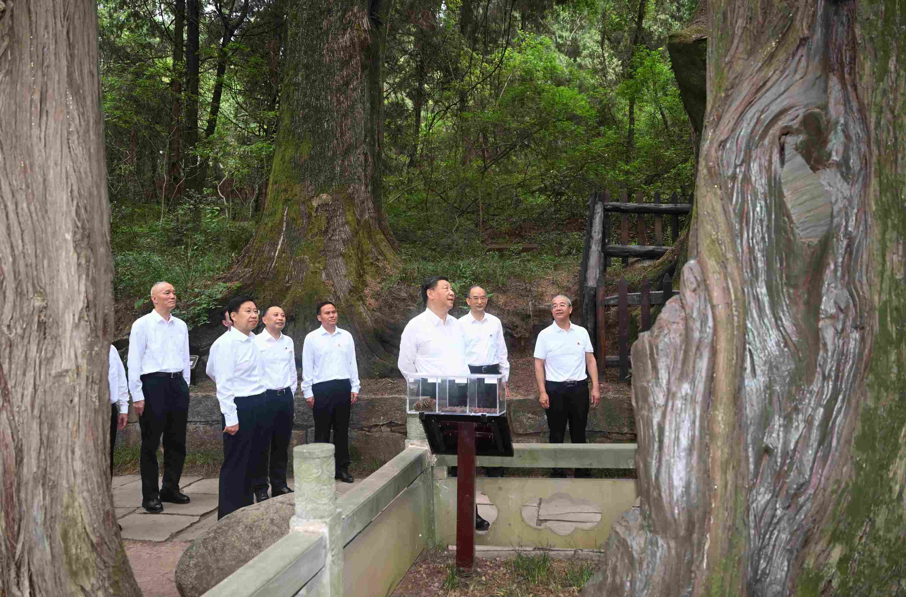 △2023年7月25日，習(xí)近平總書記在四川省廣元市考察了翠云廊古蜀道，了解當?shù)赝七M歷史文化傳承、加強生態(tài)文明建設(shè)等情況。