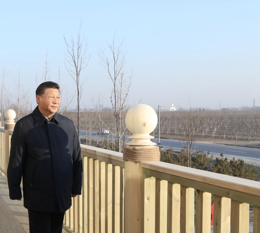 2019年1月16日，習(xí)近平在河北雄安新區(qū)考察調(diào)研。在“千年秀林”大清河片林一區(qū)造林區(qū)域，習(xí)近平登上秀林驛站二層平臺(tái)遠(yuǎn)眺林區(qū)全貌。