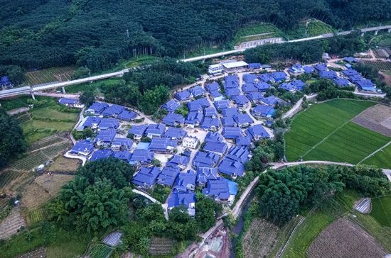 磨憨鎮(zhèn)曼莊村大龍哈小組現(xiàn)代化邊境幸福村新貌。人民網(wǎng)記者 符皓攝
