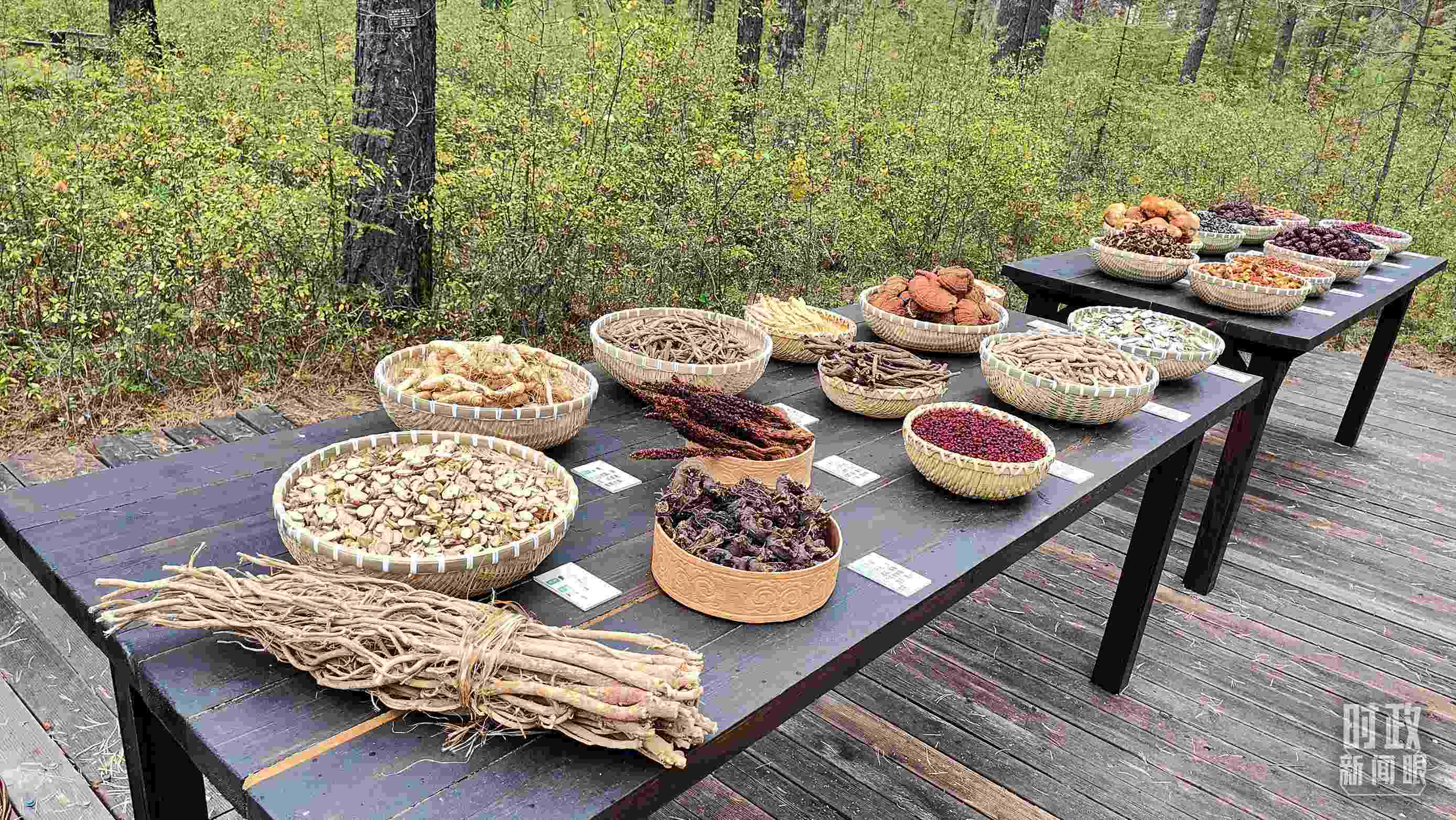 △林場里的食用菌、林果等特產(chǎn)。（總臺央視記者楊立峰拍攝）