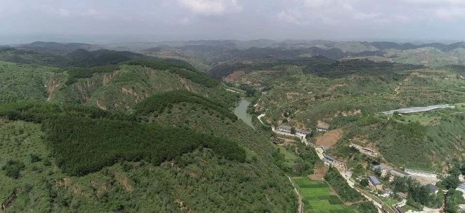 黃土溝壑中的高西溝村滿眼綠色（無(wú)人機(jī)照片，2023年7月26日）。新華社記者陳昌奇 攝