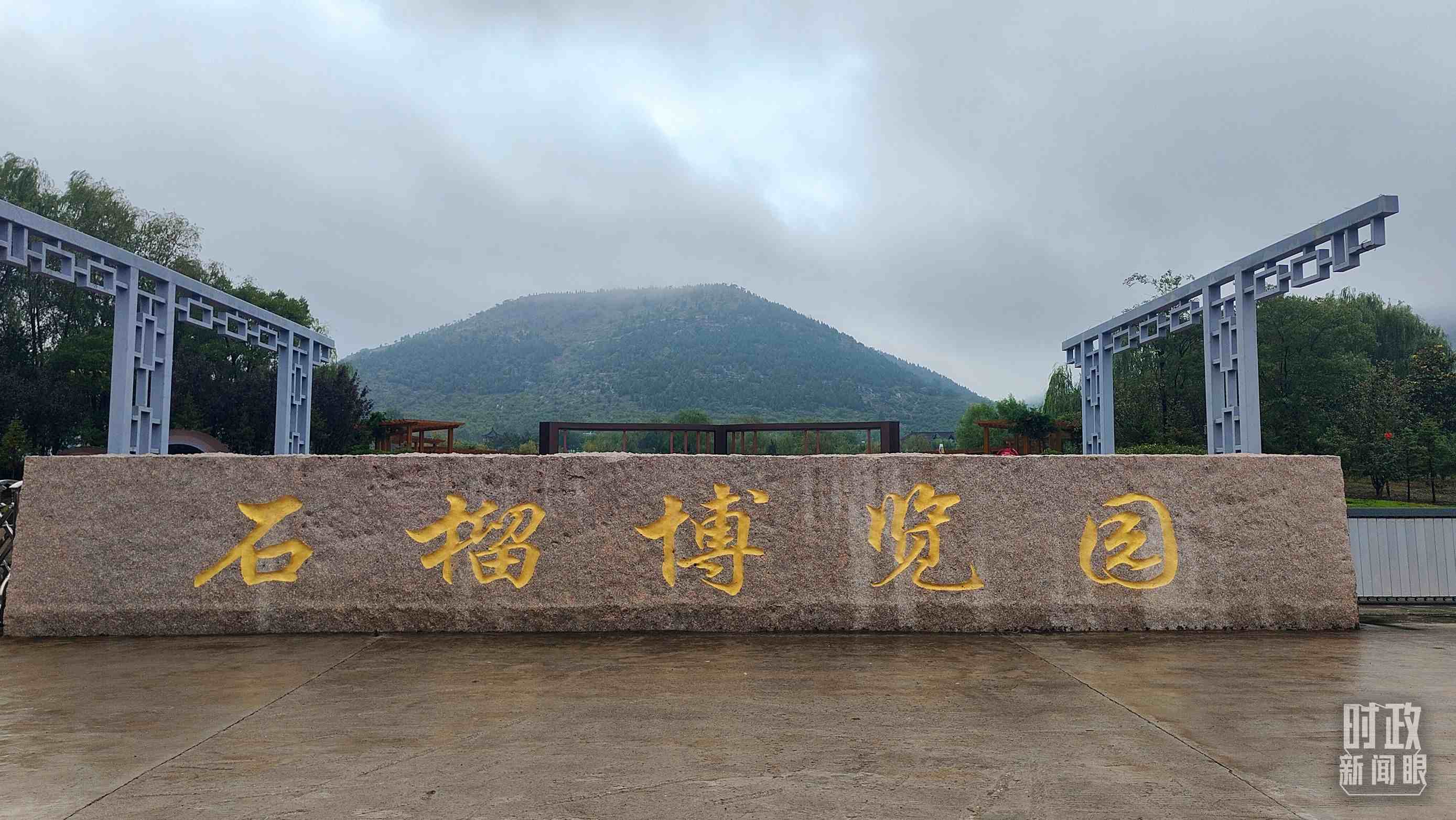 △石榴種質(zhì)資源庫位于石榴博覽園內(nèi)。（總臺央視記者楊立峰拍攝）