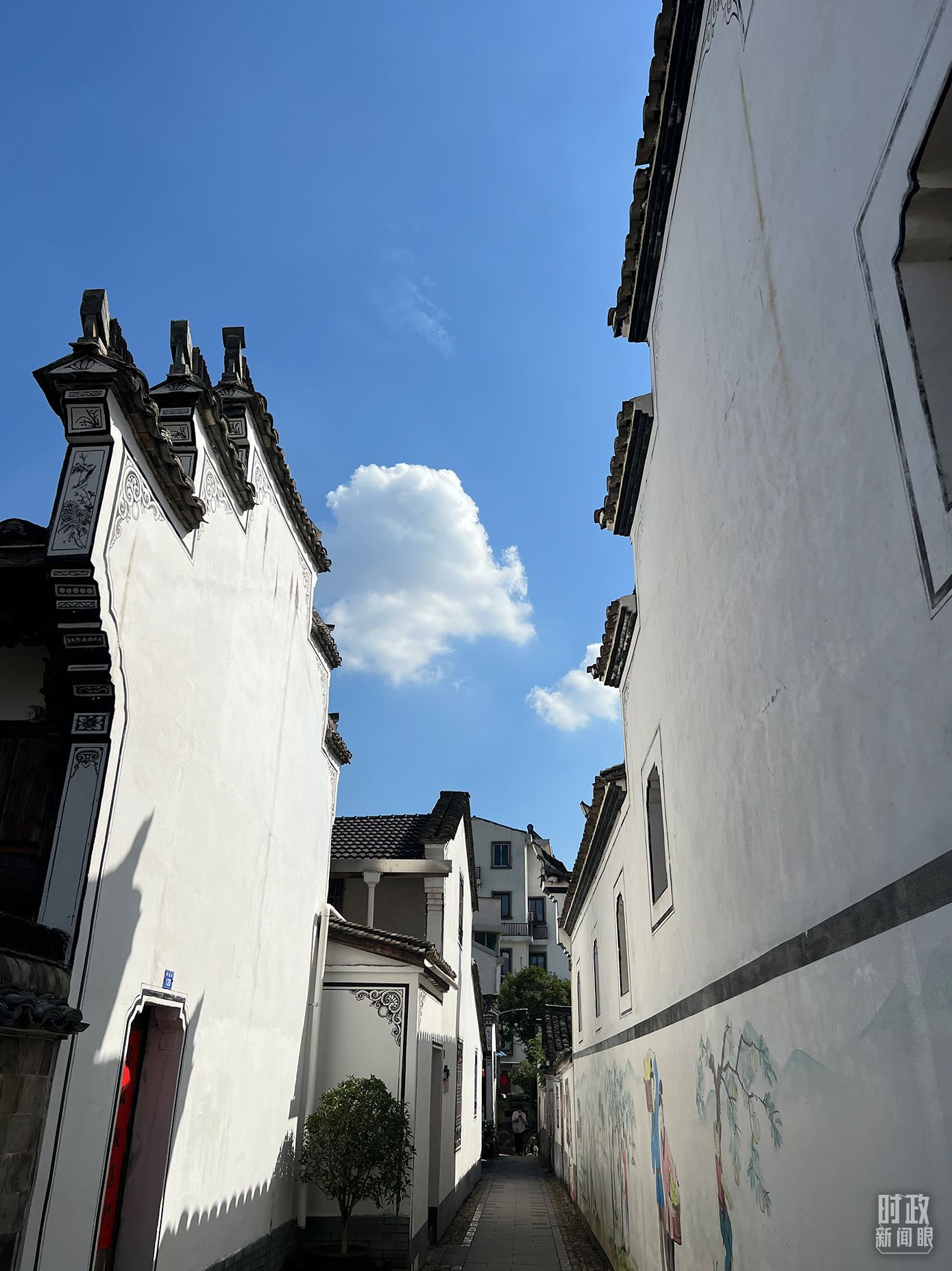 △浙江省金華市義烏市后宅街道李祖村。（總臺央視記者李煒拍攝）