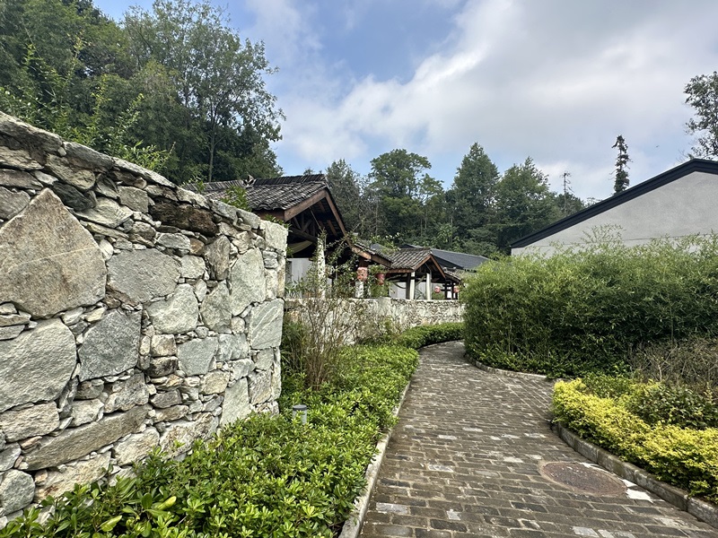 眾多民宿坐落于夫子山山麓。人民網(wǎng) 王紹紹攝
