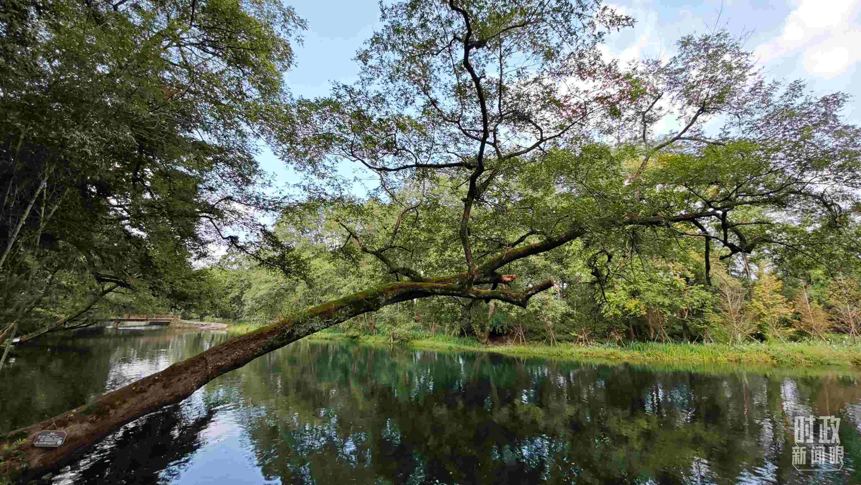 △饒河源國家濕地公園。（總臺央視記者郁振一拍攝）