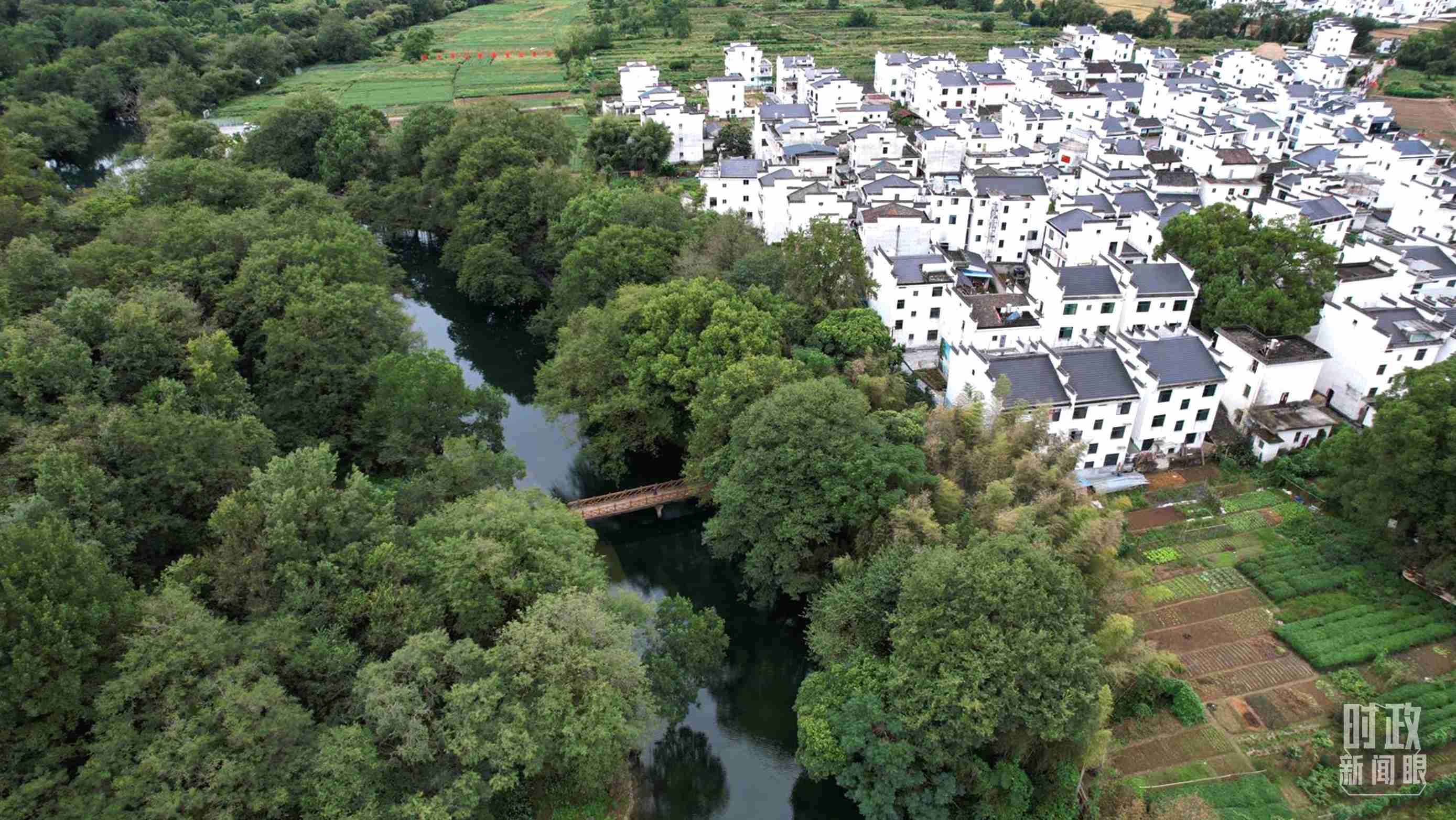 △位于饒河源國家濕地公園中心地帶的石門村。（總臺央視記者范凱拍攝）