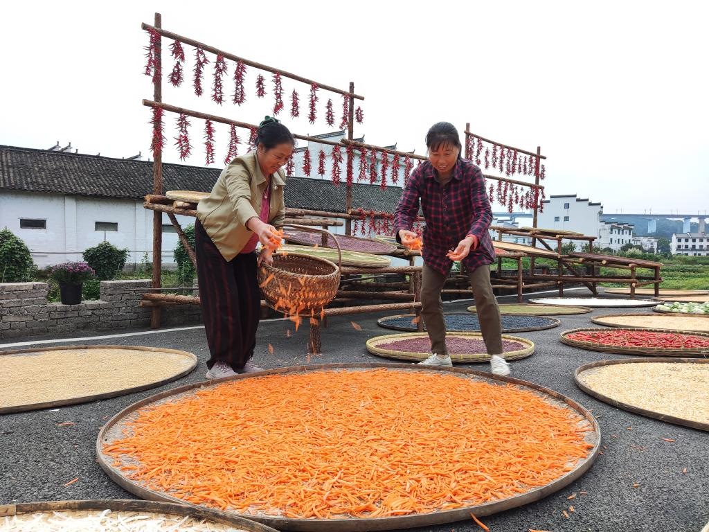 近日，江西省上饒市婺源縣秋口鎮(zhèn)王村的村民正在晾曬農(nóng)作物。新華社記者 劉佳敏 攝