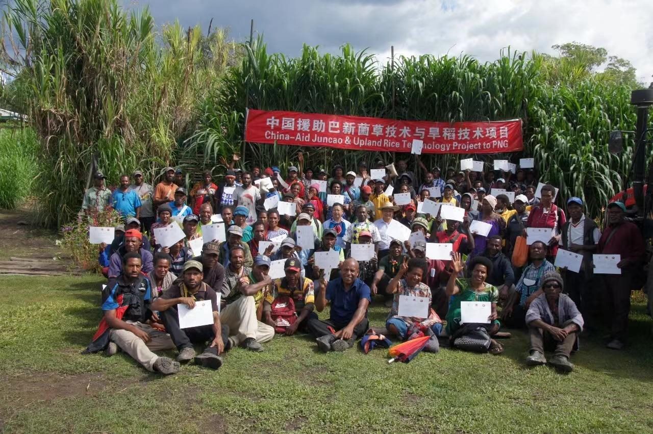 △2020年12月17日，在巴布亞新幾內(nèi)亞東高地省，參加中國援助巴新菌草和旱稻技術項目第9期培訓班的當?shù)孛癖娬故窘Y業(yè)證書。