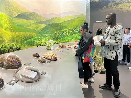  （在中國(guó)藥都中醫(yī)藥博物館，外媒記者了解中醫(yī)藥發(fā)展史。中國(guó)經(jīng)濟(jì)周刊記者 郭志強(qiáng) 攝）