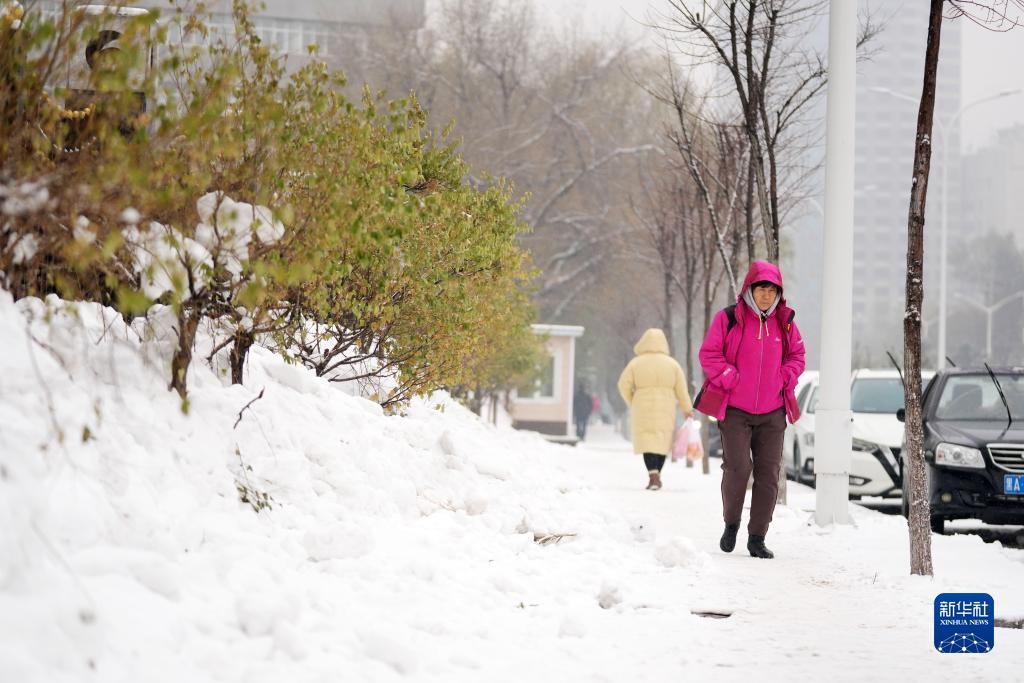 11月16日，市民在雪中前行。當日，黑龍江哈爾濱市迎來雨雪天氣。新華社記者 王建威 攝