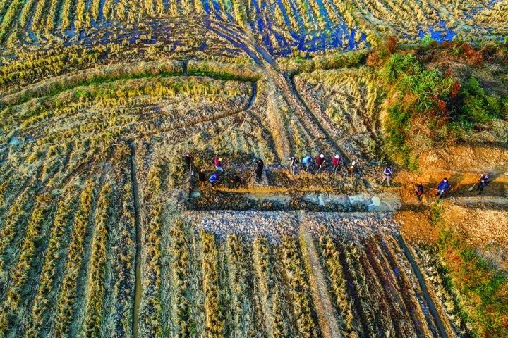 良渚遺址考古發(fā)掘現(xiàn)場。