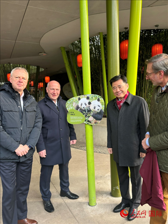 中國駐德國大使吳懇（右二）、柏林市長韋格納（左二）、動物園園長克尼里姆（右一）和監(jiān)事會主席布魯克曼（左一）共同為“夢想”“夢圓”大熊貓紀(jì)念牌揭幕。人民網(wǎng)記者 徐馨攝