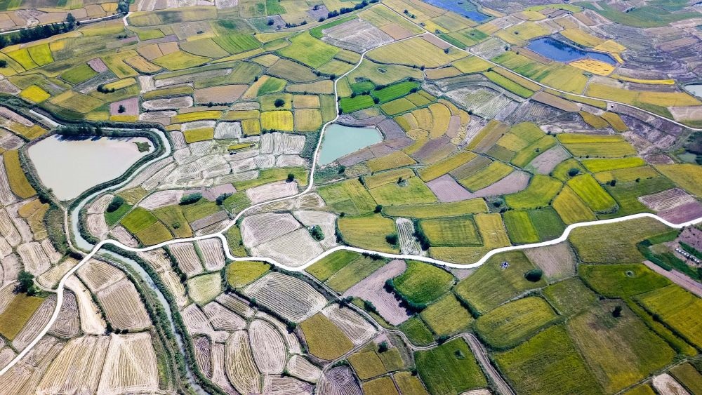 安徽省鳳陽(yáng)縣小崗村的田野景象（2018年9月27日攝，無(wú)人機(jī)照片）。新華社記者 張端 攝