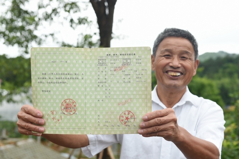 福建武平縣萬安鎮(zhèn)捷文村村民李桂林展示林權(quán)改革后領(lǐng)到的全國第一本新式林權(quán)證。