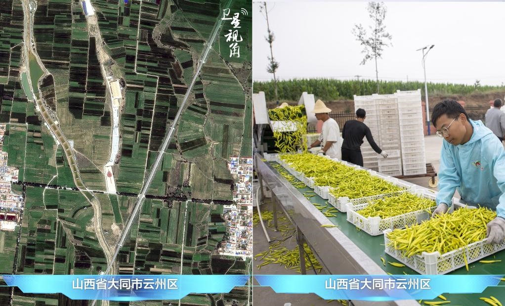 當前，大同市開發(fā)黃花菜品、食品、飲品、功能食品、化妝品、文創(chuàng)產品六大系列130余種，全產業(yè)鏈產值超40億元。