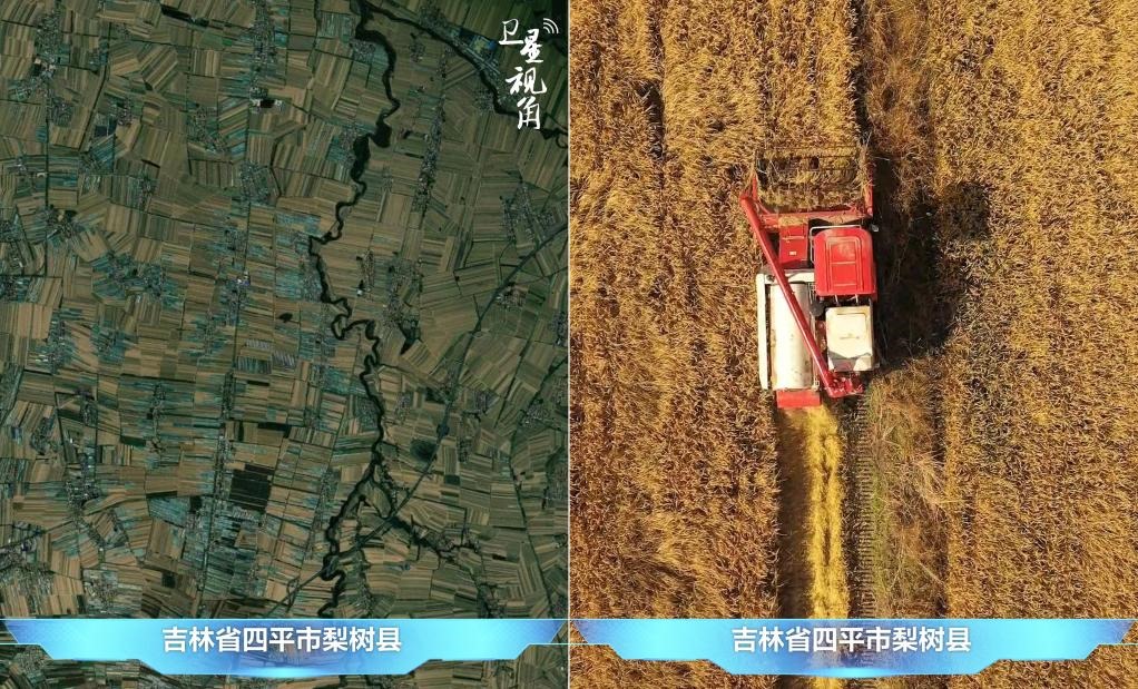 隨著現(xiàn)代化農機普及應用，保護性耕作“梨樹模式”得以大面積推廣，不僅使黑土地保護與利用持續(xù)深入，更為糧食作物高產穩(wěn)產助力。