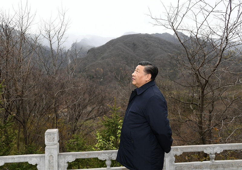 2020年4月20日，習(xí)近平在陜西秦嶺牛背梁國家級自然保護區(qū)，了解秦嶺生態(tài)保護工作情況。