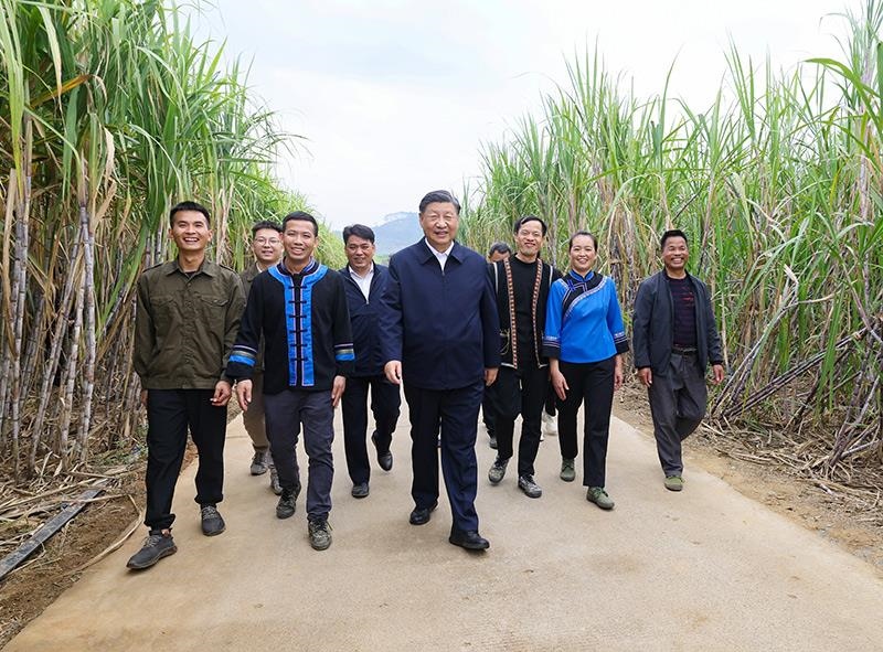 2023年12月14日，習(xí)近平總書記在廣西來賓市國家現(xiàn)代農(nóng)業(yè)產(chǎn)業(yè)園黃安優(yōu)質(zhì)“雙高”糖料蔗基地考察。