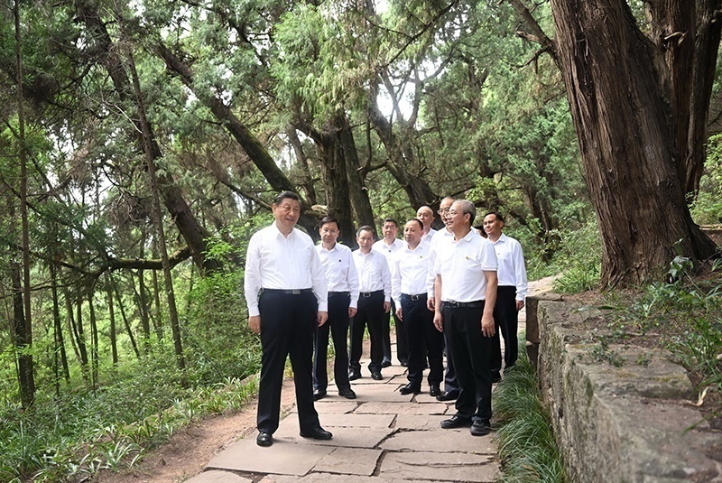 2023年7月25日，習近平總書記在四川廣元市劍閣縣翠云廊考察。新華社記者 謝環(huán)馳 攝