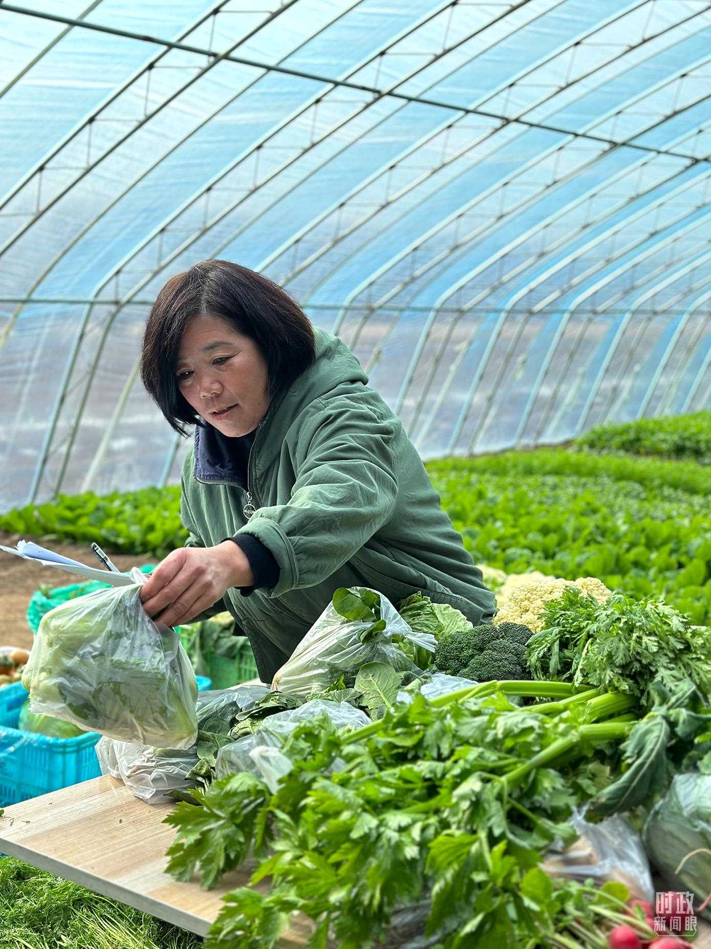 △第六埠村村民正在打包分裝蔬菜。（總臺央視記者盧心雨拍攝）