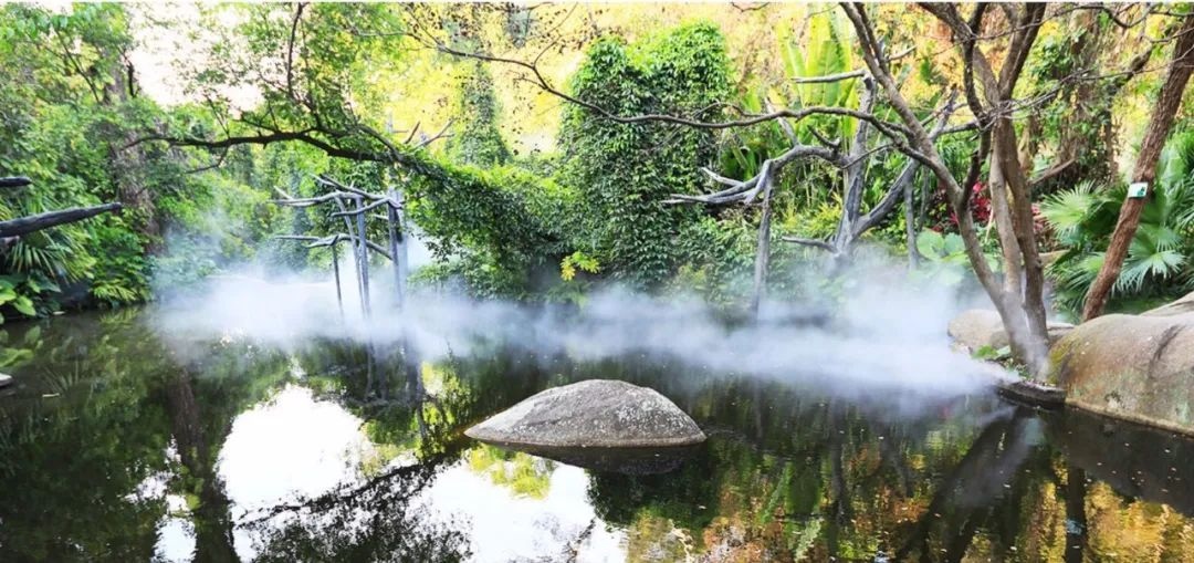 △鼓浪嶼-萬石山風(fēng)景名勝區(qū)重要組成部分廈門園林植物園熱門景點(diǎn)“雨林世界”。
