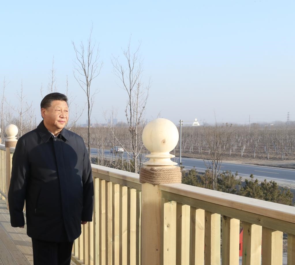 2019年1月16日，在河北雄安新區(qū)“千年秀林”大清河片林一區(qū)造林區(qū)域，習(xí)近平總書記登上秀林驛站二層平臺遠(yuǎn)眺林區(qū)全貌。新華社記者 鞠鵬 攝