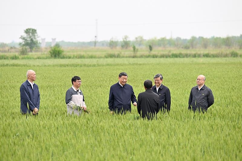 △2023年5月11日，習(xí)近平總書記在河北滄州黃驊市舊城鎮(zhèn)仙莊片區(qū)旱堿地麥田同種植戶、農(nóng)技專家親切交流。