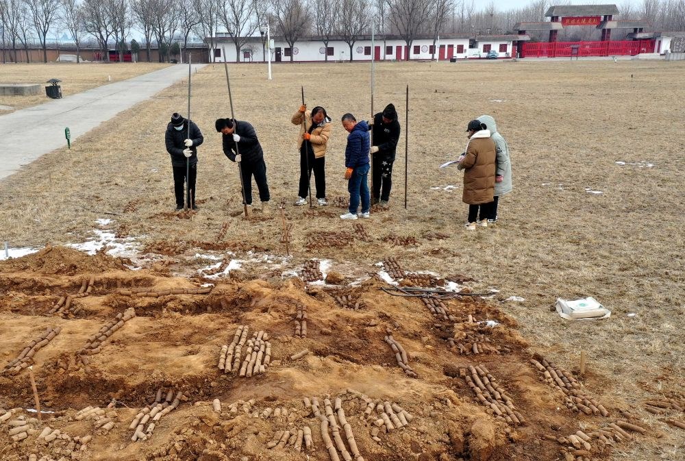 在殷墟王陵遺址，工作人員在勘探圍溝范圍（2月24日攝）。