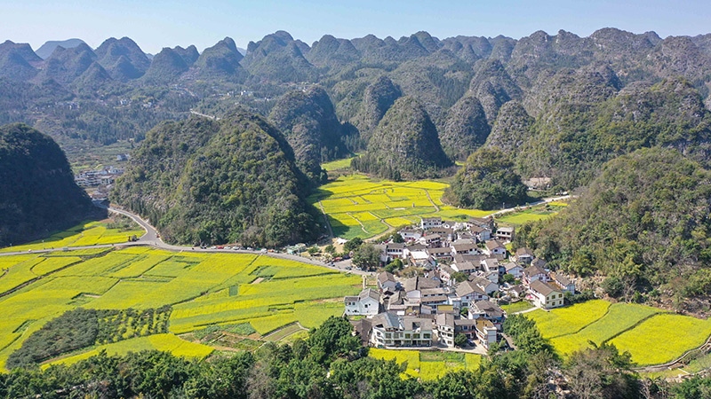 2024年2月17日，貴州省興義市萬峰林景區(qū)的油菜花海景色（無人機(jī)照片）。